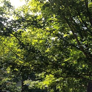 Meet your Posher, Connie